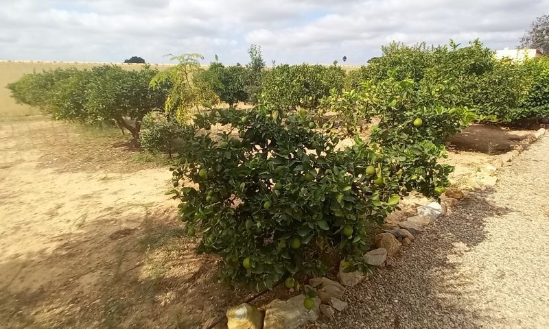 San Pedro del Pinatar, Murcia  Spain