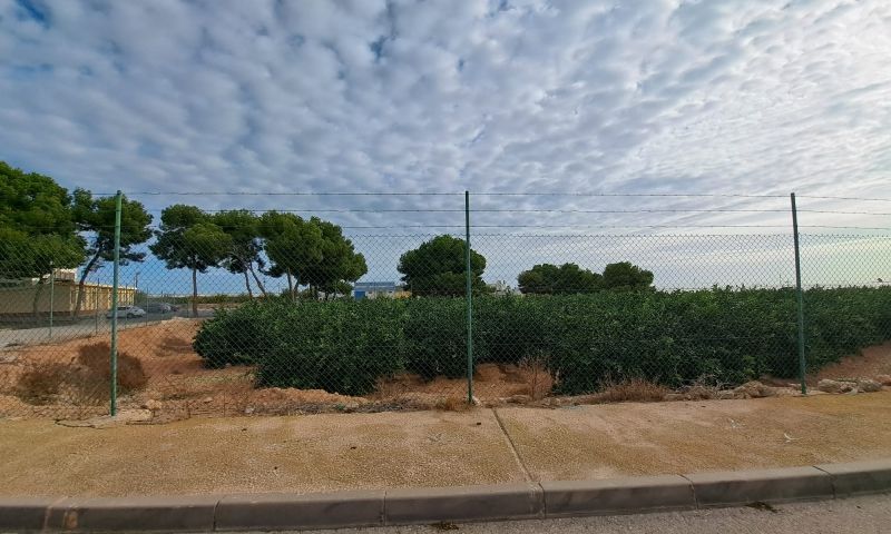 Pilar de la Horadada, Alicante  Spain