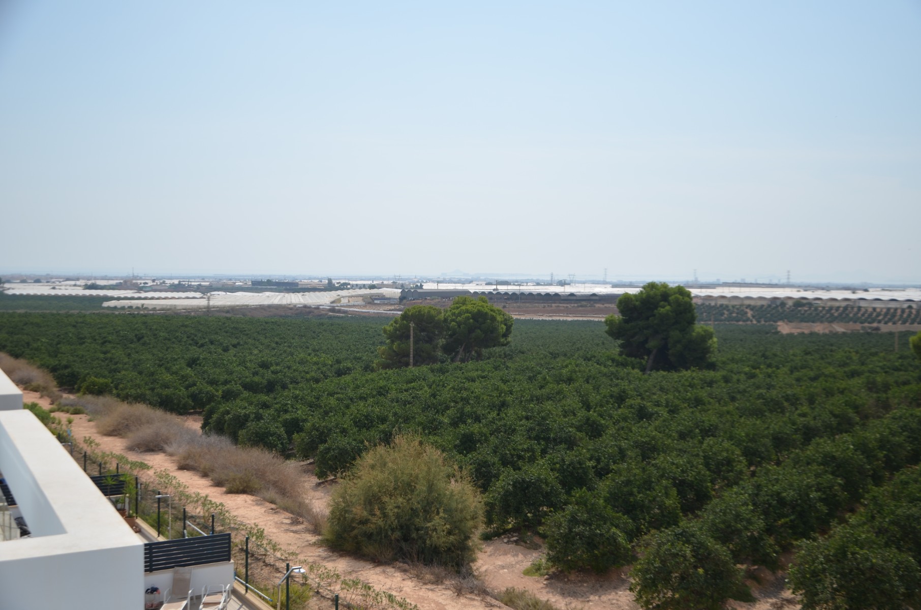 Pilar de la Horadada, Alicante  Spain