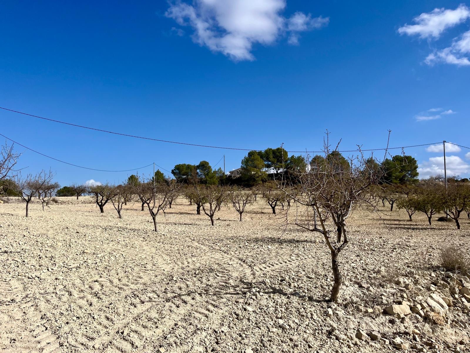 Costa Calida, MURCIA / COSTA CÁLIDA  Spain