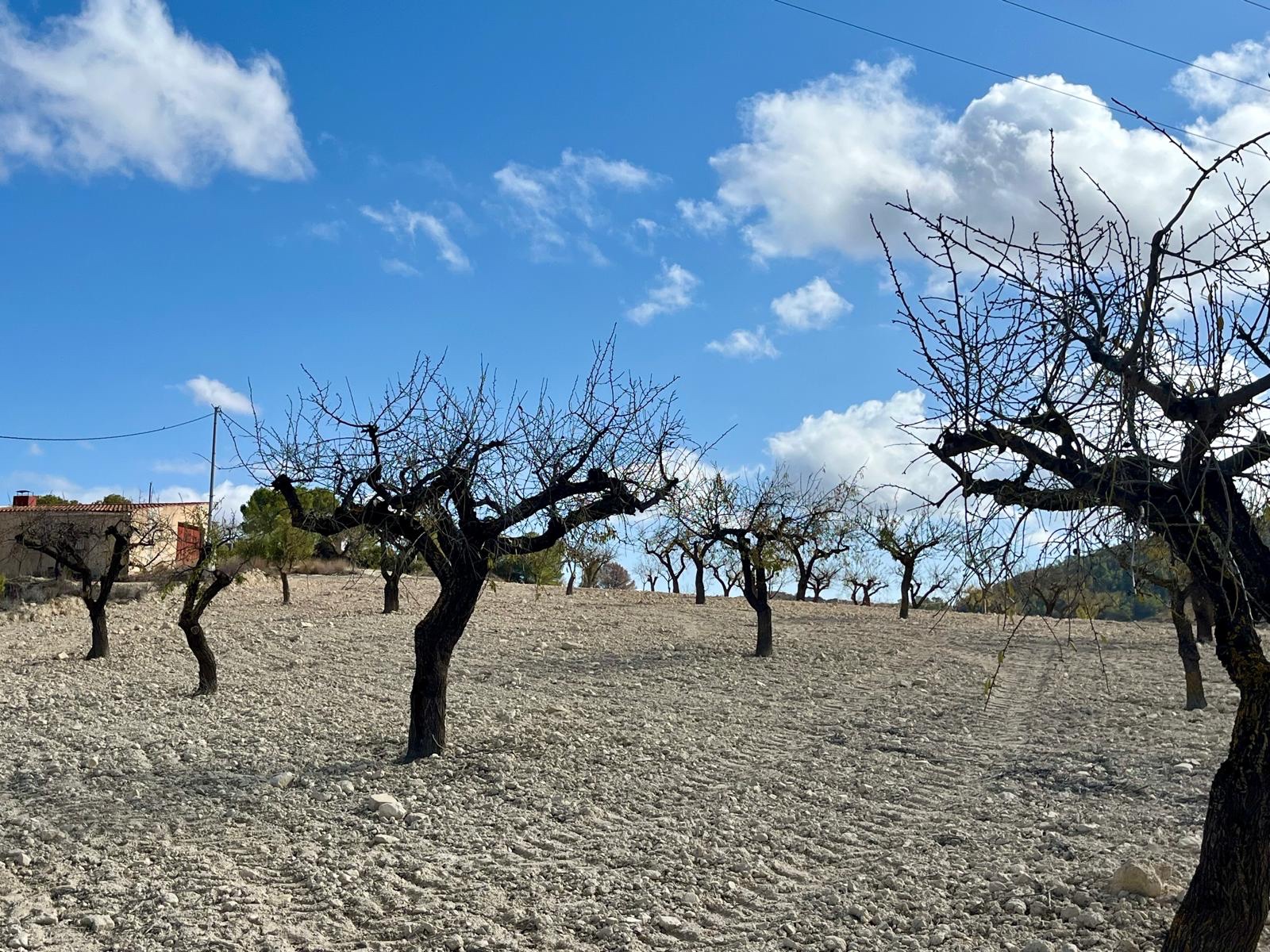 Costa Calida, MURCIA / COSTA CÁLIDA  Spain