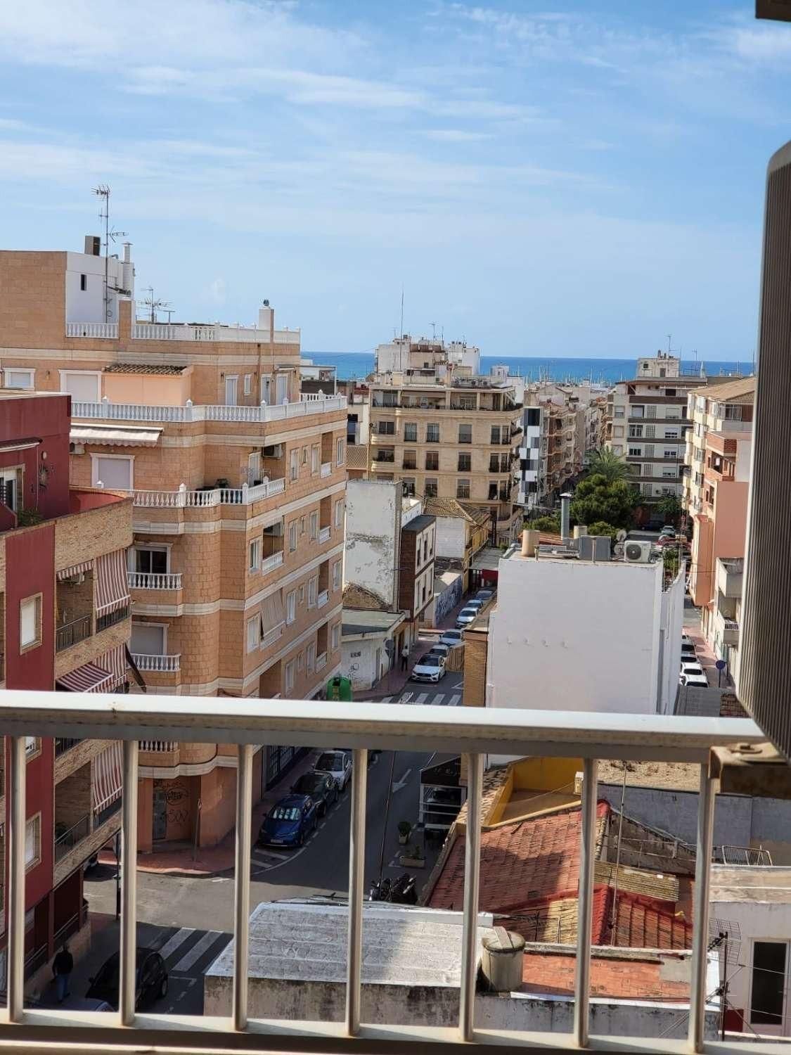 Centro, Alicante  Spain